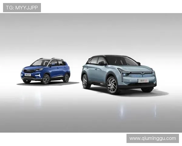 开云体育手机版未来发展方向分析，持续优化功能带来更优质的用户体验