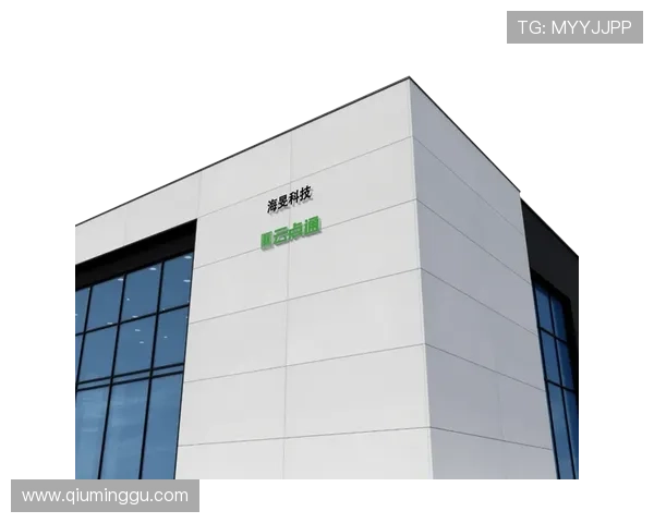 开云平台登录常见错误分析及排查解决方案详解