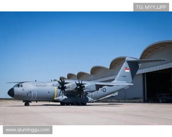 问鼎真人手机版官网充值遇到问题怎么办？详细解决方案帮你顺利完成充值