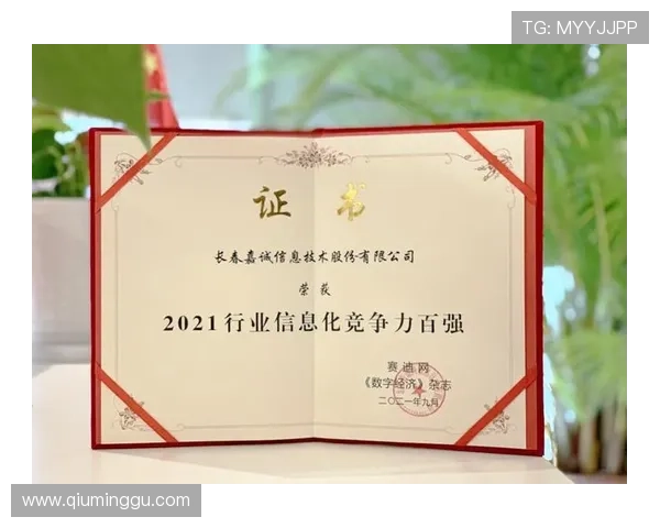 问鼎直营：如何打造高效稳定的直营运营体系提升游戏市场竞争力