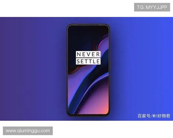 问鼎网址娱乐平台高效稳定运行，确保每一次游戏都流畅顺畅，带来极致的娱乐享受